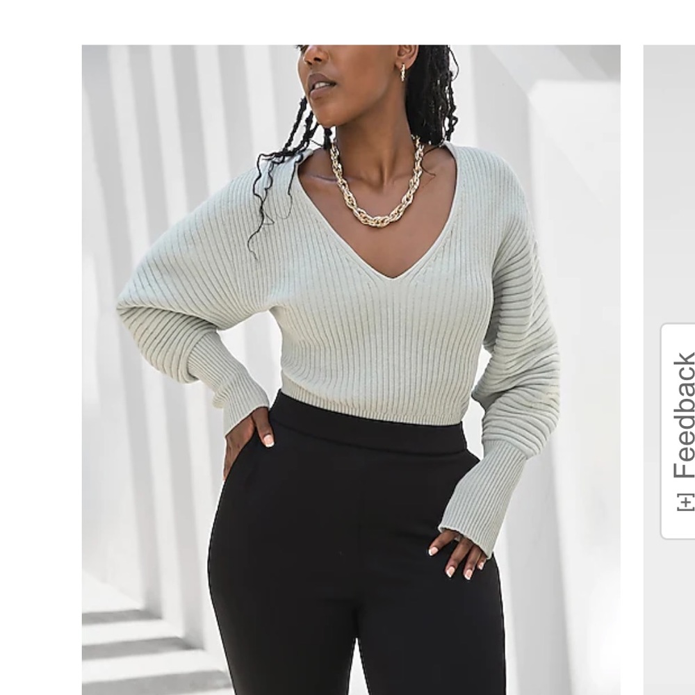 NWT Express sweater